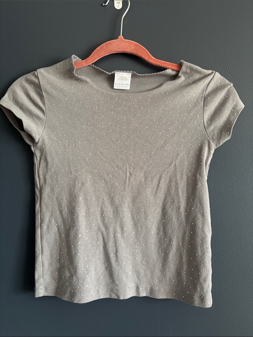 Zara Grey Short Sleeve Tee with Tiny Sparkle Dots